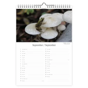 Maand kalender - 2025 - Dutch wildlife - 23,5x33,5cm