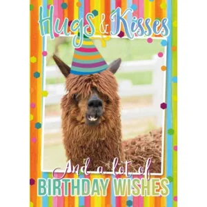 Kaart - Fun - Hugs & Kisses  - BWH31-B