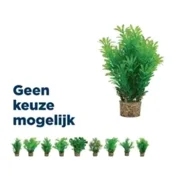 Zolux ornament pastic plant op steen neutraal assorti 20x10x10 cm