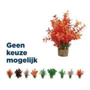 Zolux ornament plastic plant op stenen vrolijk assorti 20x10x10 cm