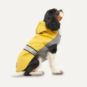 Goo-eez Reflective Hooded Raincoat