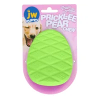 JW Puppy - Prickl-ee Pear Teether