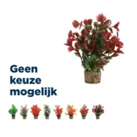 Zolux ornament plastic plant op stenen puntig assorti 20x10x10 cm