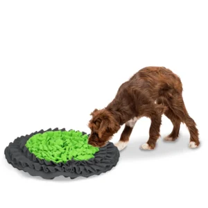 Eat Slow Live Longer Snuffle Mat