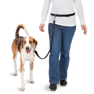 Pawise Hands Free Doggy Jogger Kit