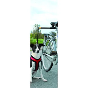 Pawise Hands Free Doggy Bike Exerciser Leash