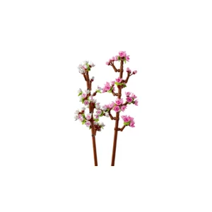 LEGO® 40725 Kersenbloesems