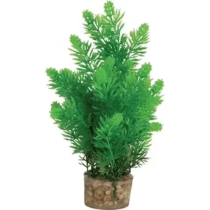 Zolux ornament pastic plant op steen neutraal assorti 20x10x10 cm